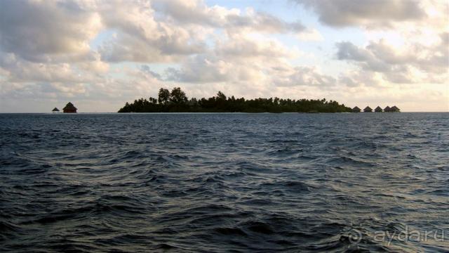 Лучшее место для БАНАНАМУНА