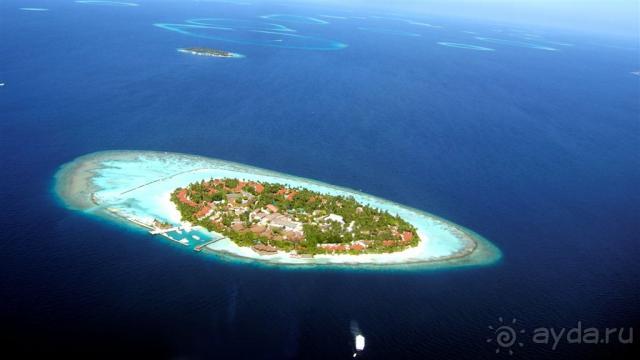 Лучшее место для БАНАНАМУНА