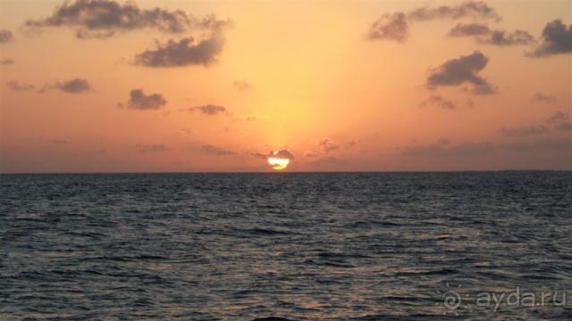 Лучшее место для БАНАНАМУНА