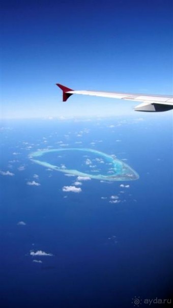 Лучшее место для БАНАНАМУНА