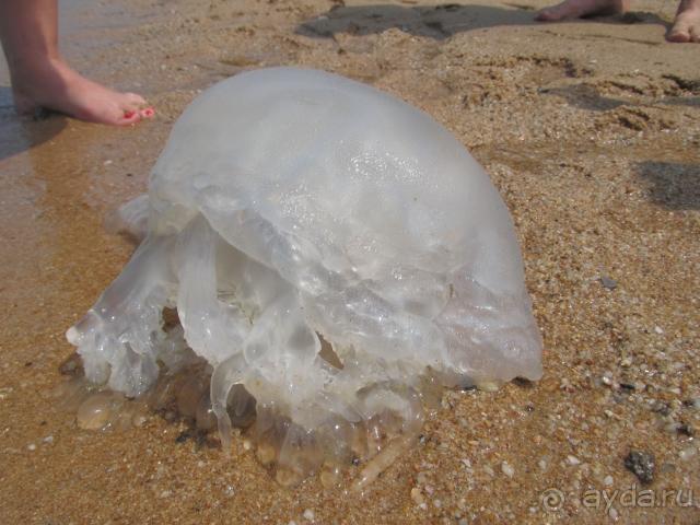 Отличный отдых