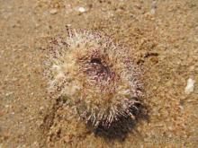 Отличный отдых