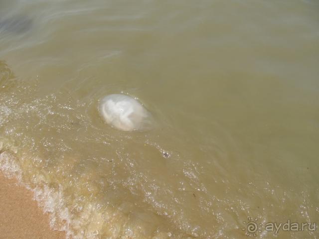 Отличный отдых