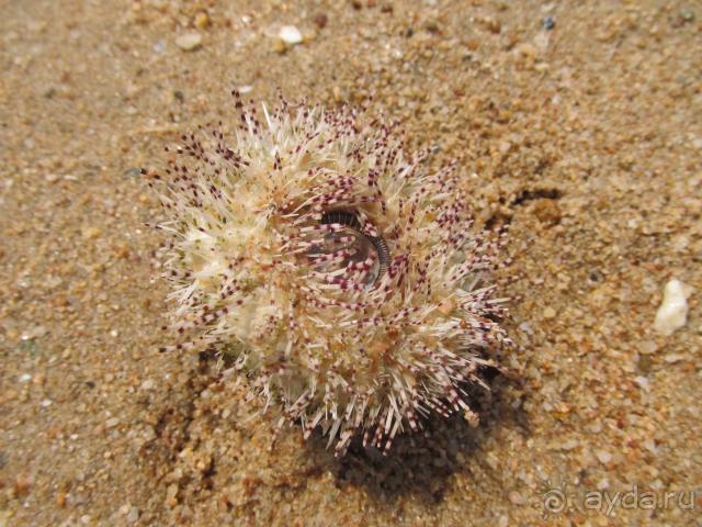 Отличный отдых