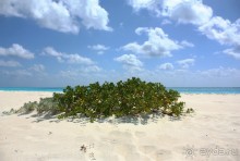 Райское место!