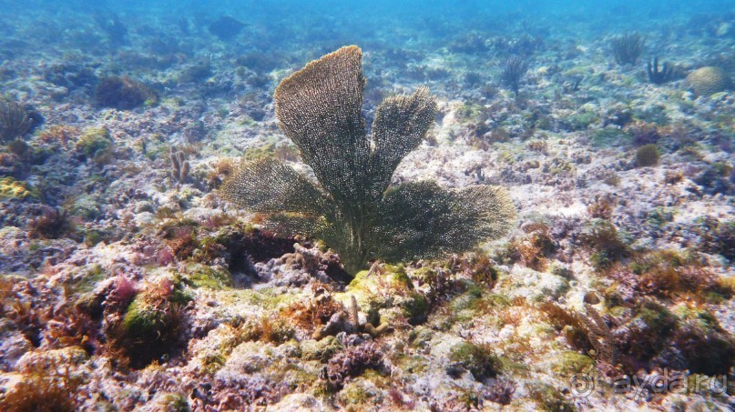 Райское место!