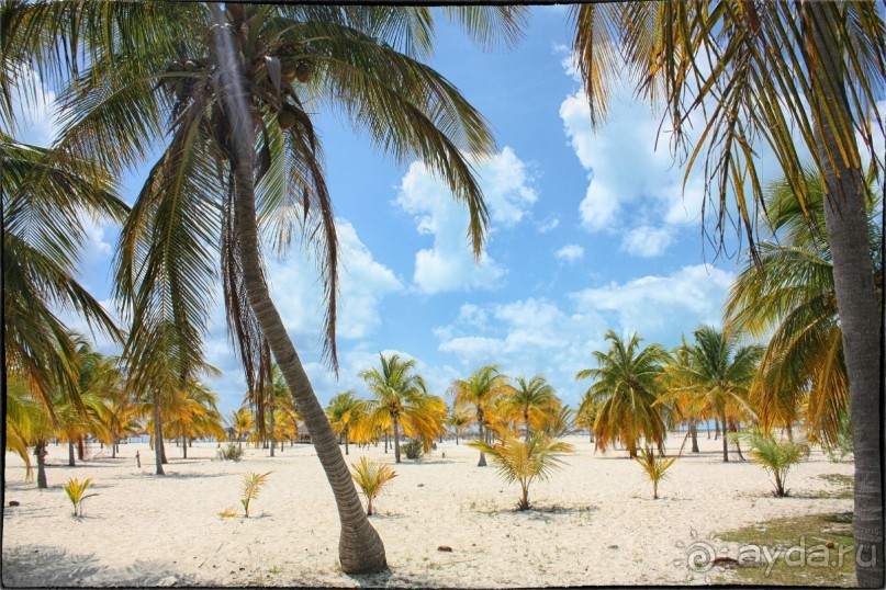 Райское место!