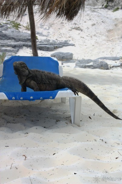 Райское место!