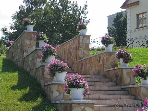 фото Estreya Palace