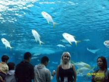 Отличный отель.