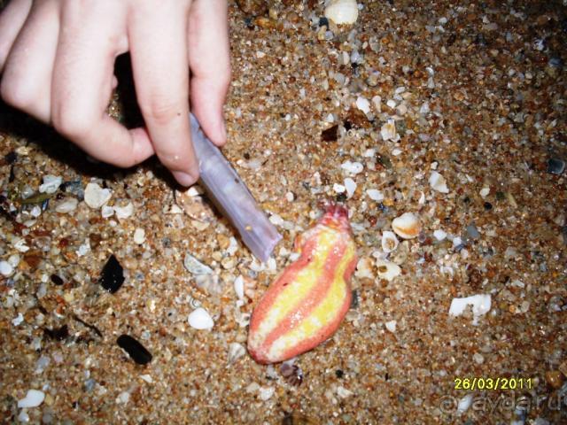 фото Sealight Resort Hotel