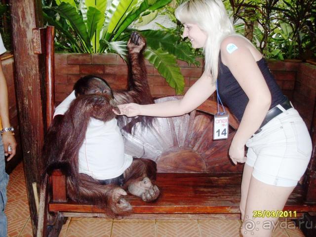 фото Sealight Resort Hotel