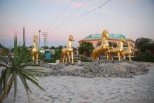 Paradise Golden 5