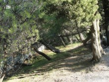 ПАРК "МИЛОЧЕР".