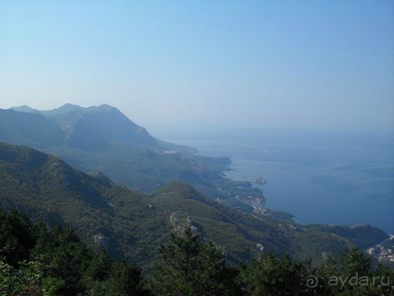 фото Чиплаков