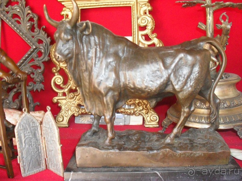 фото Чиплаков