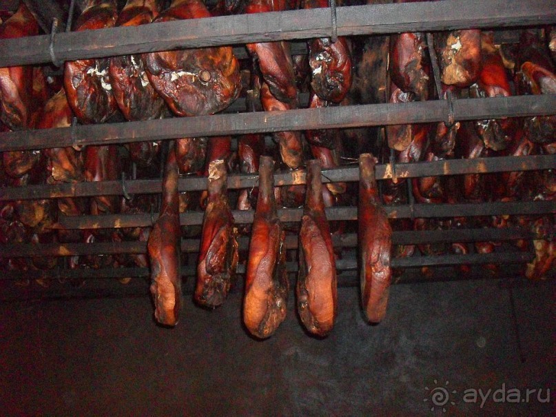 фото Чиплаков