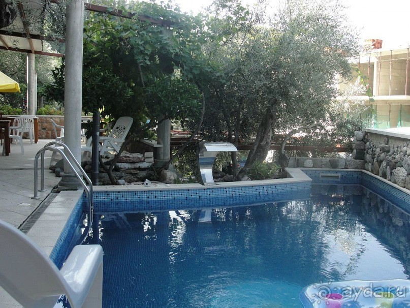 фото Чиплаков