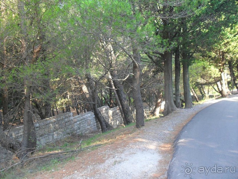 фото Чиплаков