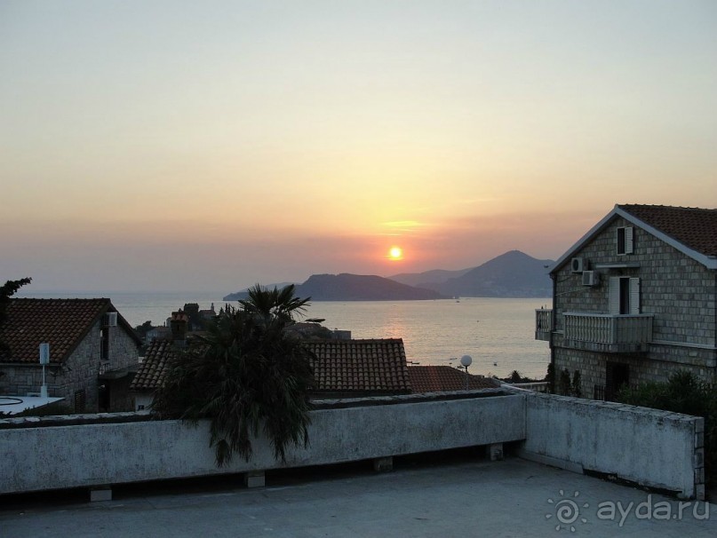 фото Чиплаков