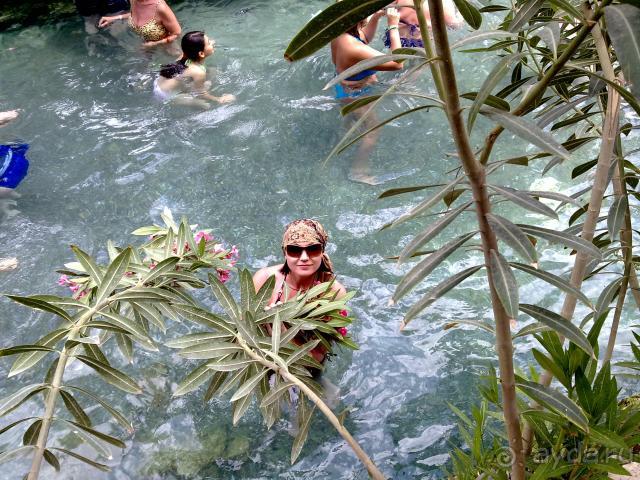 фото Арабелла Виллы