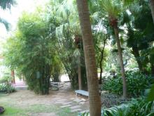 фото Cactus Resort Sanya by Gloria