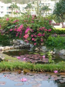 фото Cactus Resort Sanya by Gloria