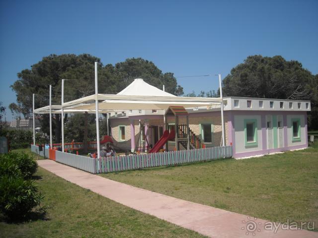 фото Ахилия