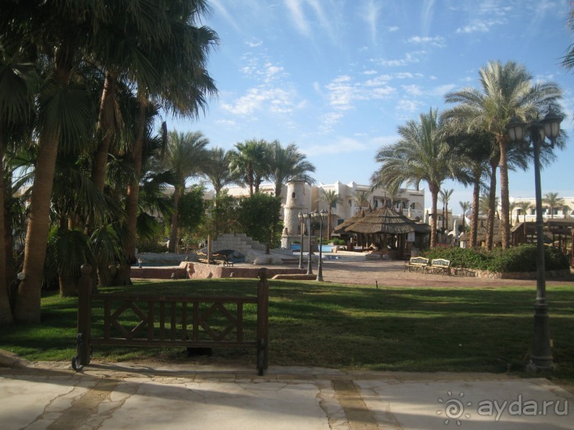 Тихая бухта в ветреном Шарме