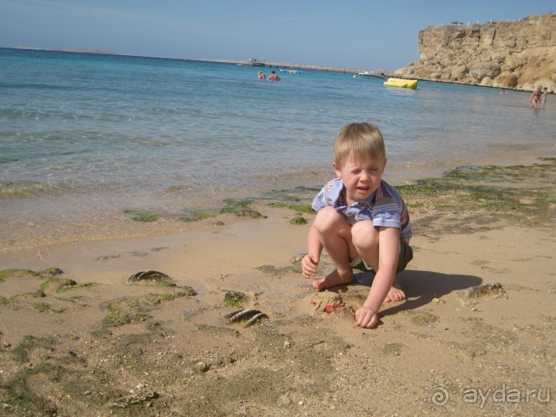 Тихая бухта в ветреном Шарме