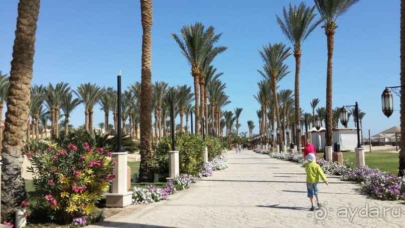  Sunwing Waterworld Makadi 5*