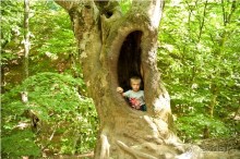 Путешествие по Крыму