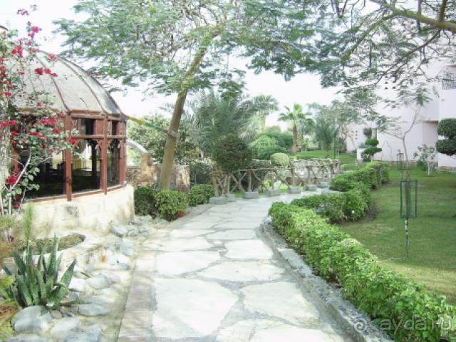 фото Zahabia Hotel & Beach Resort