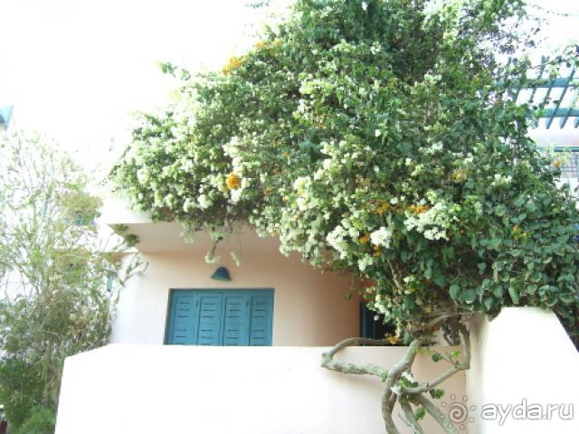 фото Zahabia Hotel & Beach Resort