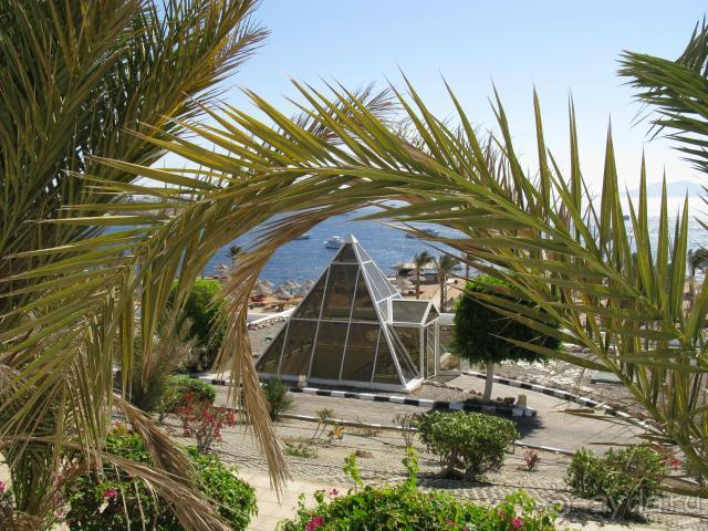 старое название отеля Pyramisa