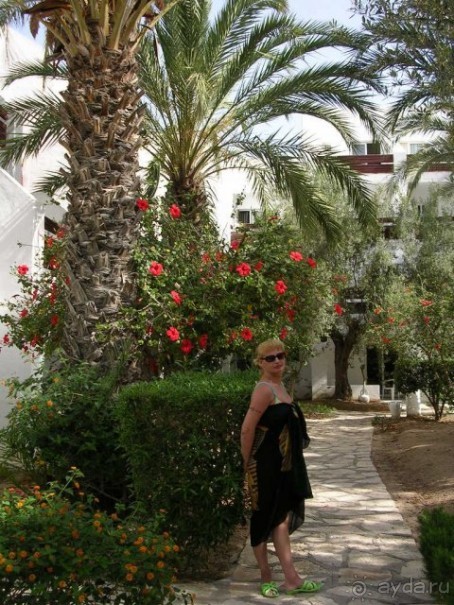 фото Marhaba Royal Salem