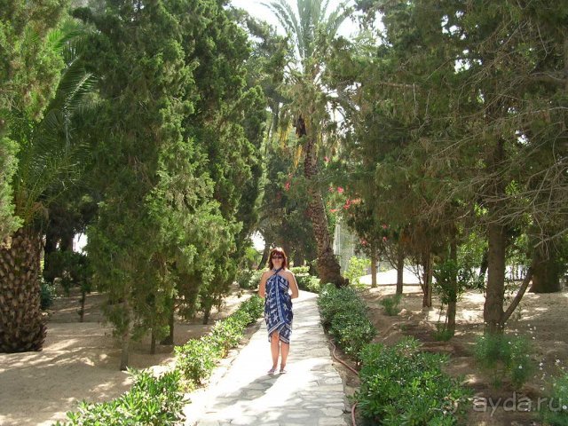 фото Marhaba Royal Salem