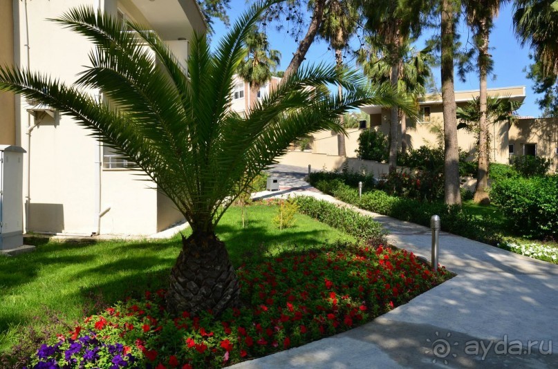 Сиделия Холидей Виладж-Отличный отель для семейного отдыха.