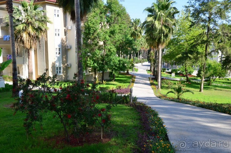 Сиделия Холидей Виладж-Отличный отель для семейного отдыха.