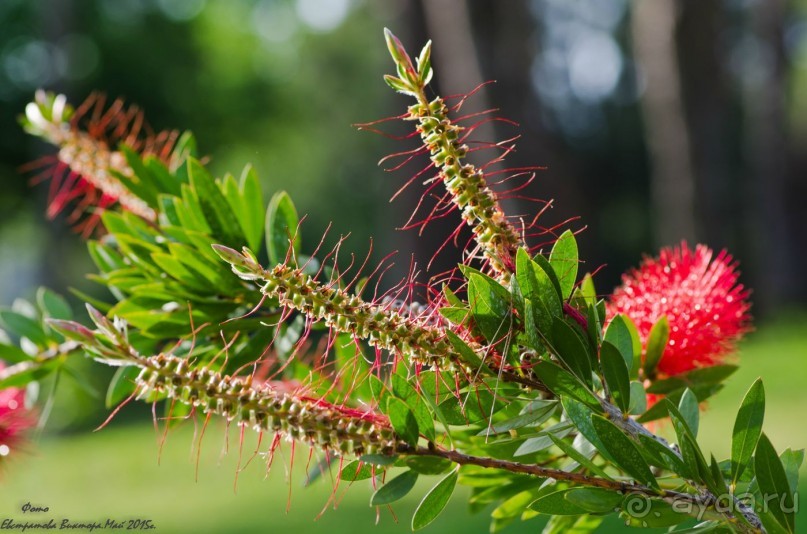 Сиделия Холидей Виладж-Отличный отель для семейного отдыха.