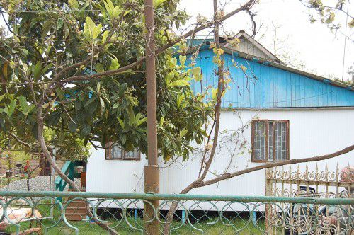 Абхазы которые нас УДИВИЛИ. Сухум 2009. ФОТО