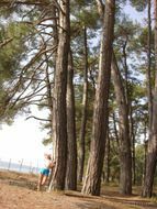 Абхазия, июнь Пицунда 2012 . НЕ АЙС! 