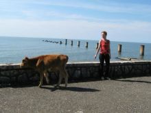 Очамчира всерьёз УДРУЧАЕТ.