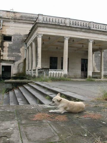 Путешествие ПО Абхазии