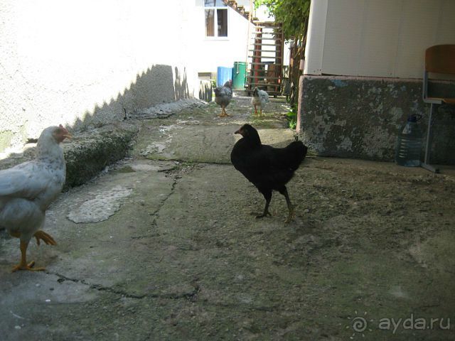 Путешествие ПО Абхазии