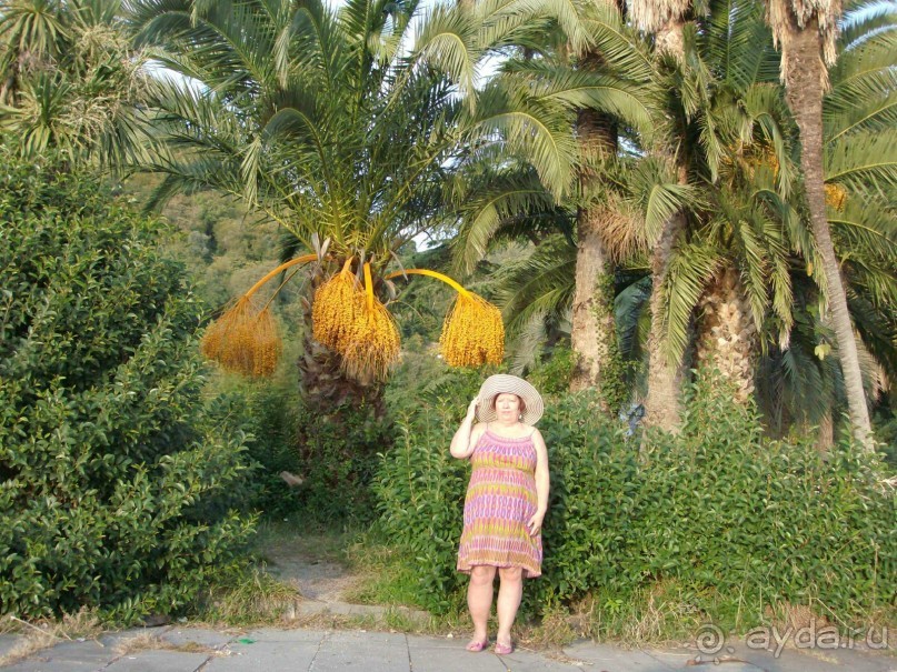 Неоправданная дороговизна и разруха в Гагре . 2013. Осень . Фото.