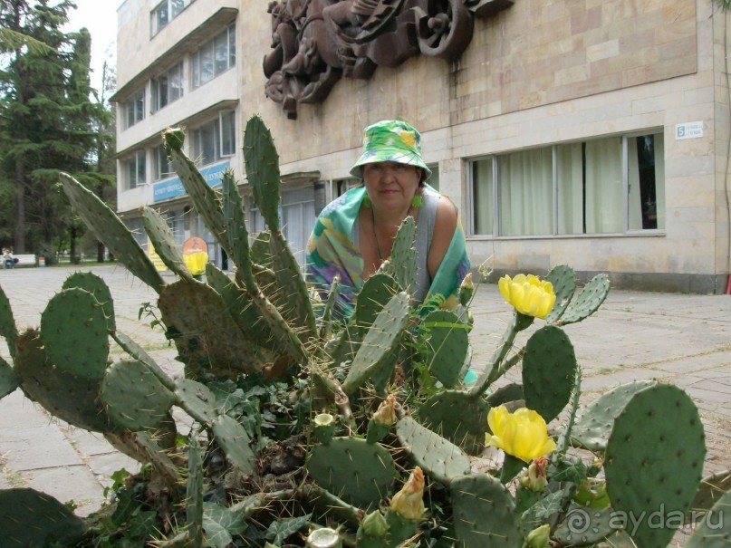 Страхуй, не страхуй, всё равно получишь... ! ЛОХОТРОН по-абхазски