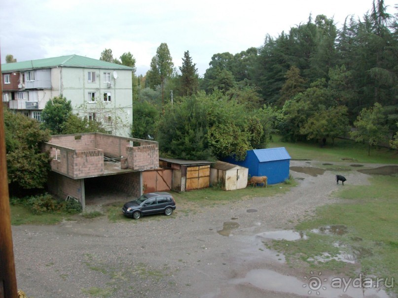 Частный сектор в Пицунде - это почти экстрим