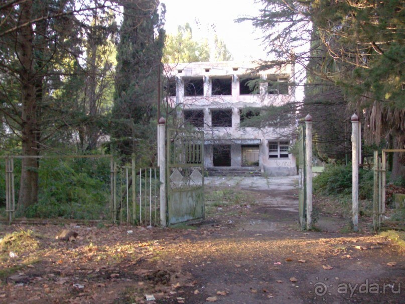 Частный сектор в Пицунде - это почти экстрим