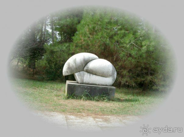 Частный сектор в Пицунде - это почти экстрим